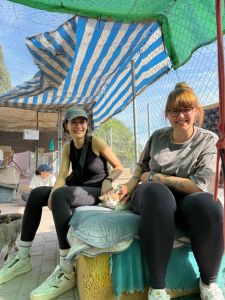 PHOTO-2025-11-01-14-27-01 2